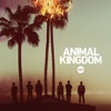 Animal Kingdom - What Have You Done  artwork