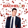 The Bachelor - 2008  artwork