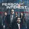 Person of Interest - A More Perfect Union  artwork