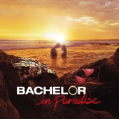 Bachelor in Paradise - Bachelor in Paradise, Season 3  artwork