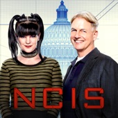 NCIS - NCIS, Season 14  artwork