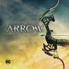 Arrow - A Matter of Trust artwork