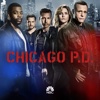 Chicago PD - The Silos  artwork