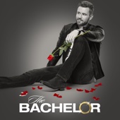 The Bachelor - The Bachelor, Season 21  artwork